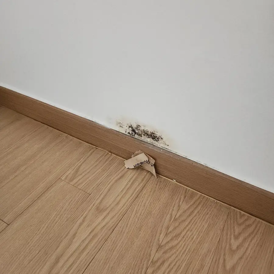 누수 로 곰팡이핀 석고벽 보수복원 강북구 시공 사진 72