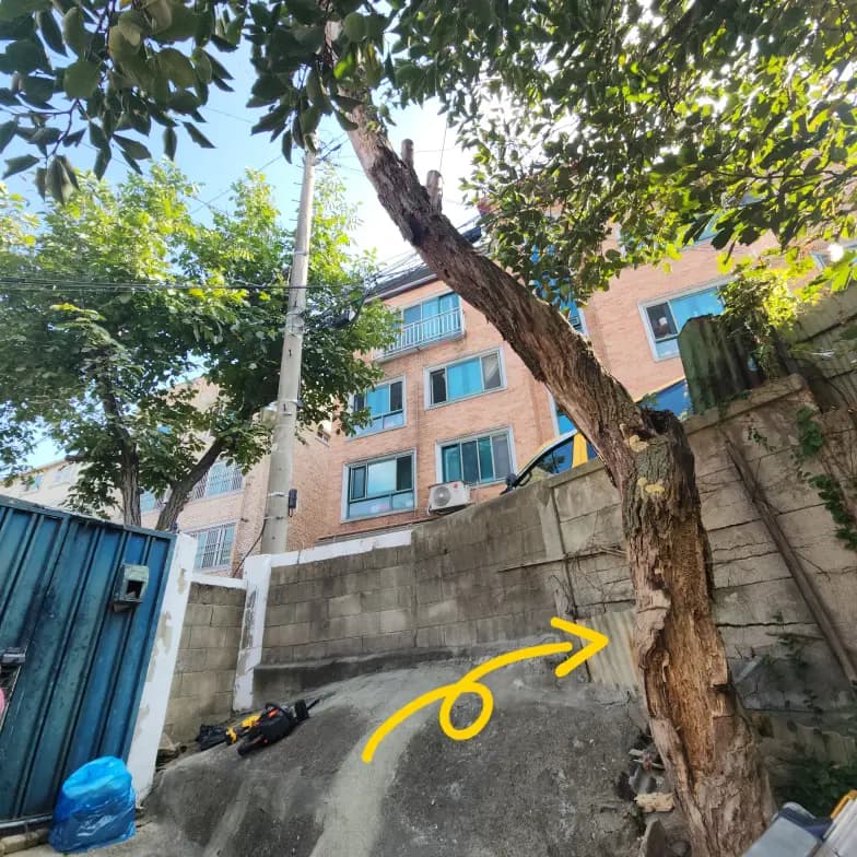 가정집 나무한그루 벌목업체 가지정리 군포시 시공 사진 96