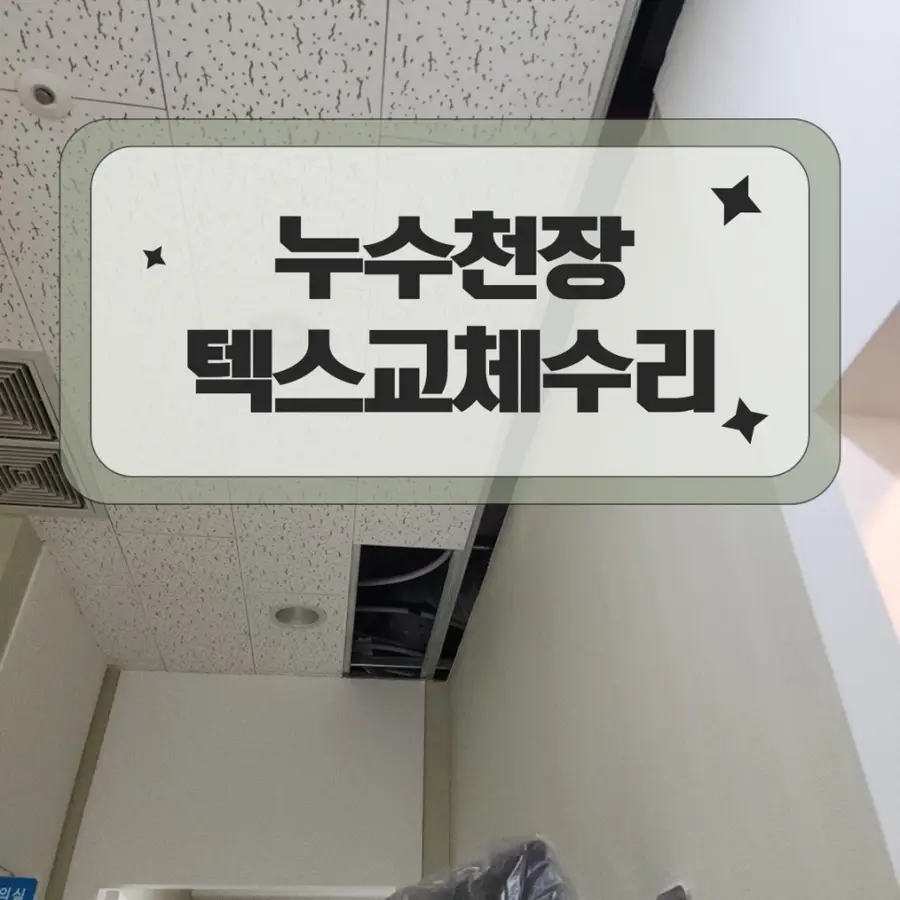 오래된 누수 천장 덱스 부분교체 보수 — 시공 전